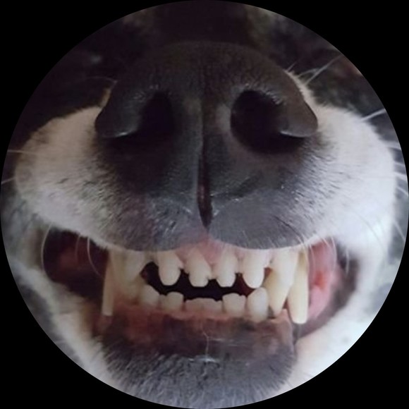 jmgrwac